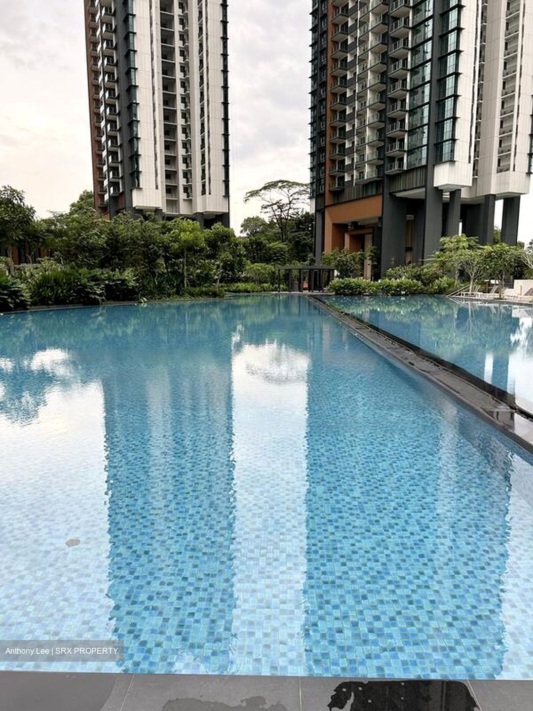Normanton Park (D5), Apartment #599482521